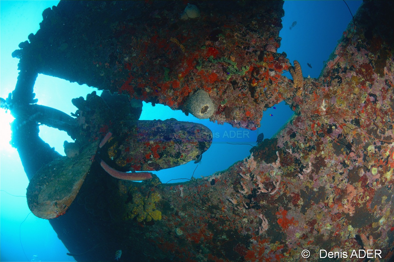 Ambiance Epave-Bonaire Hilma Hoocker-19m-20180220-Denis-ADER-DSC_7008_tn.jpg